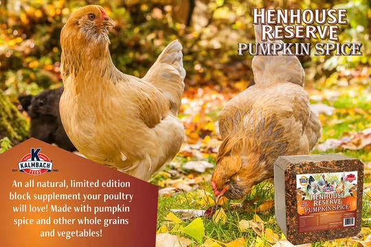 Kalmbach Henhouse Reserve Pumpkin Spice Poultry Block 20lbs