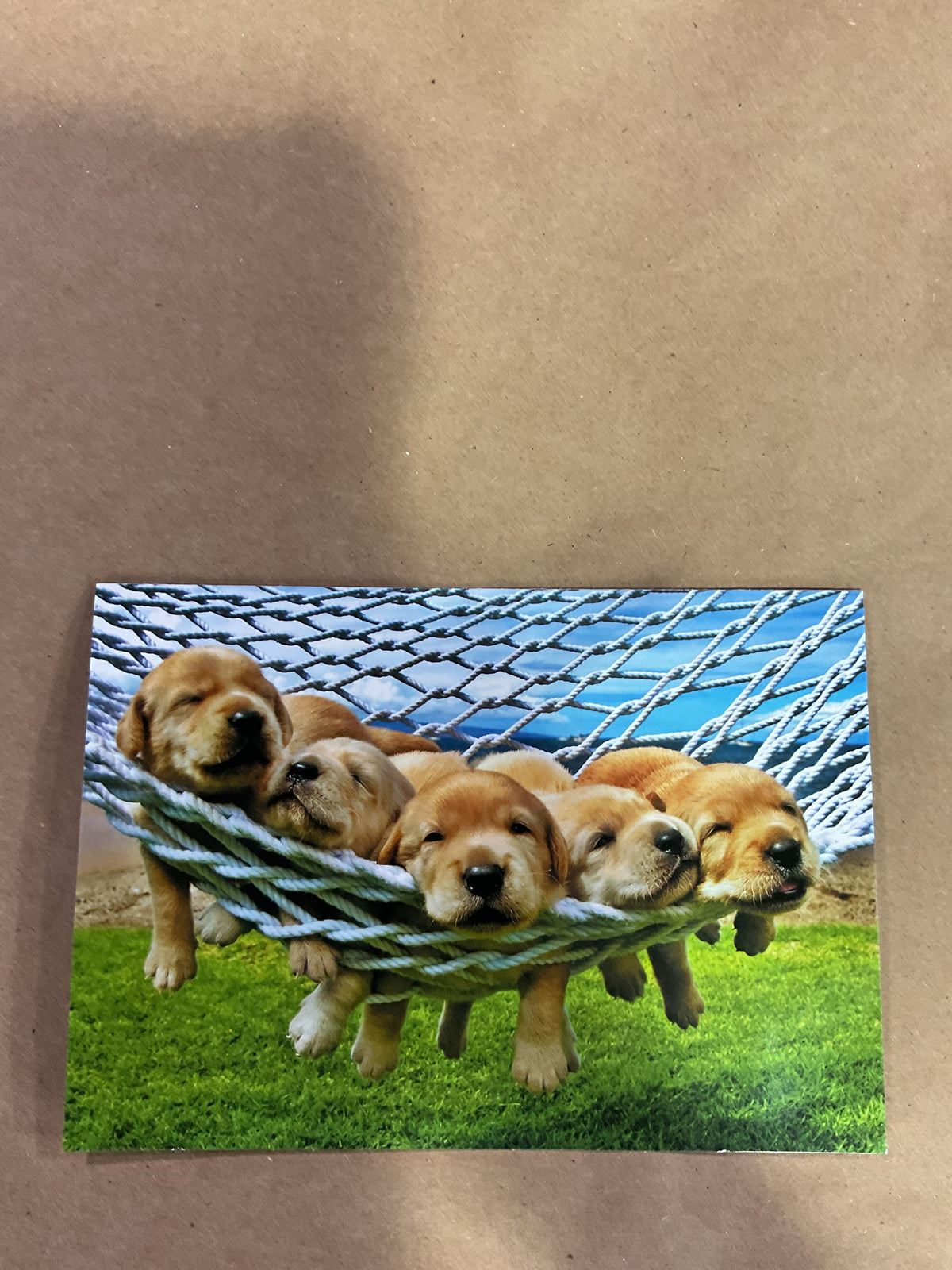 Greeting Cards