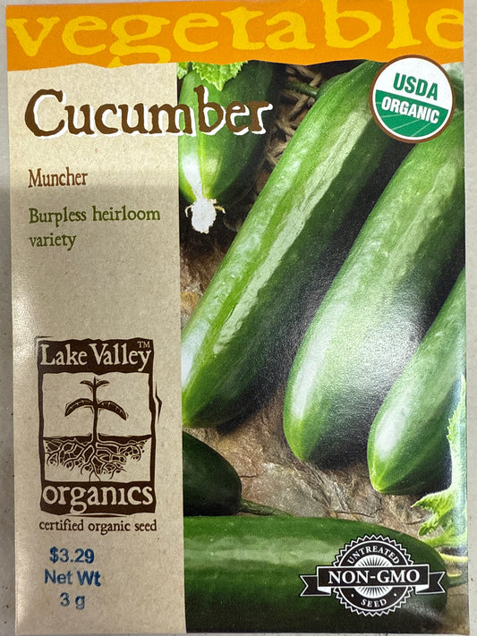 Cucumber - Muncher