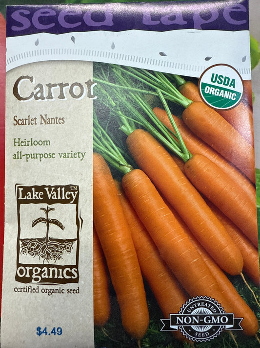 Carrot - Scarlet Nantes