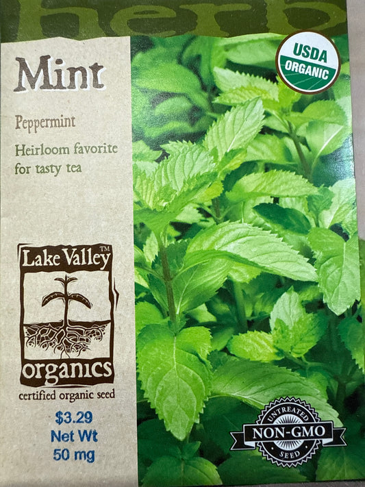 Mint - Peppermint