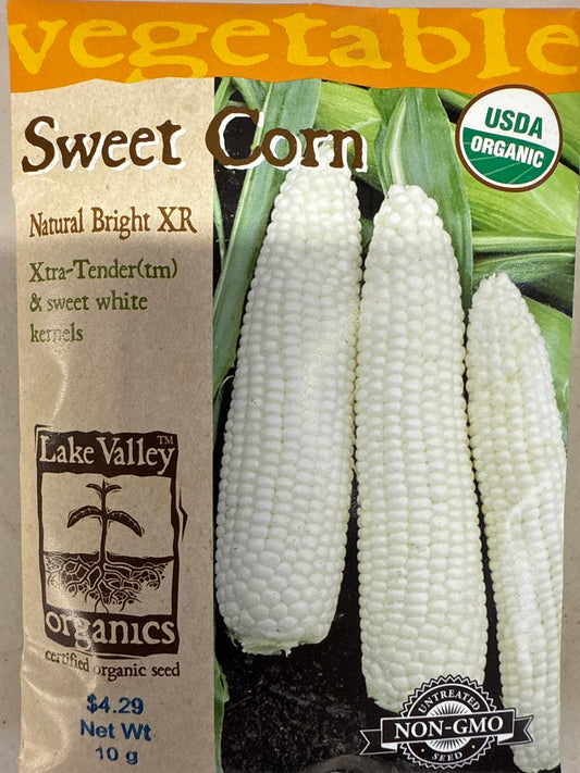 Sweet Corn - Natural Bright XR