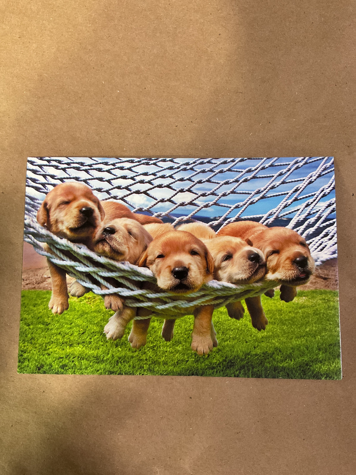 Greeting Cards