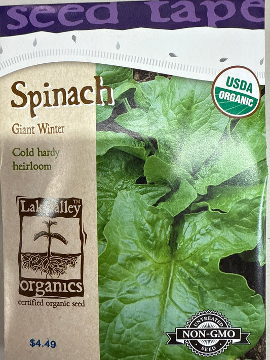 Spinach - Giant Winter