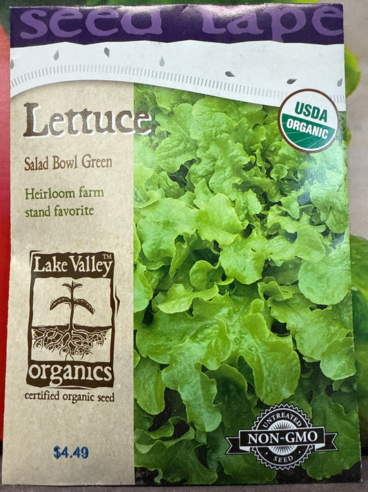 Lettuce - Salad Bowl Green