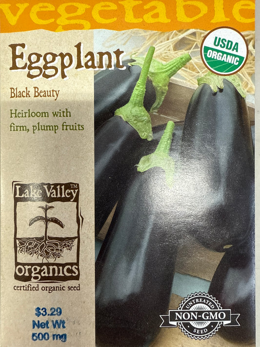 Eggplant - Black Beauty