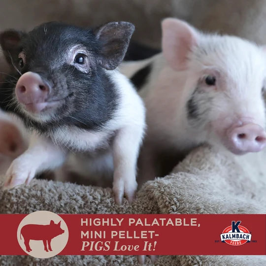 Kalmbach Squeals of Joy Mini Pig Food 25lbs