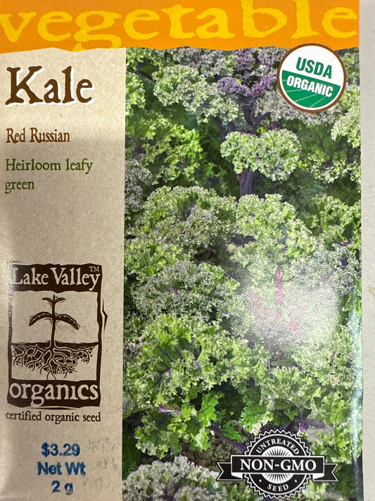 Kale - Red Russian