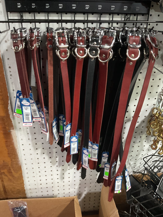 Leather dog collars