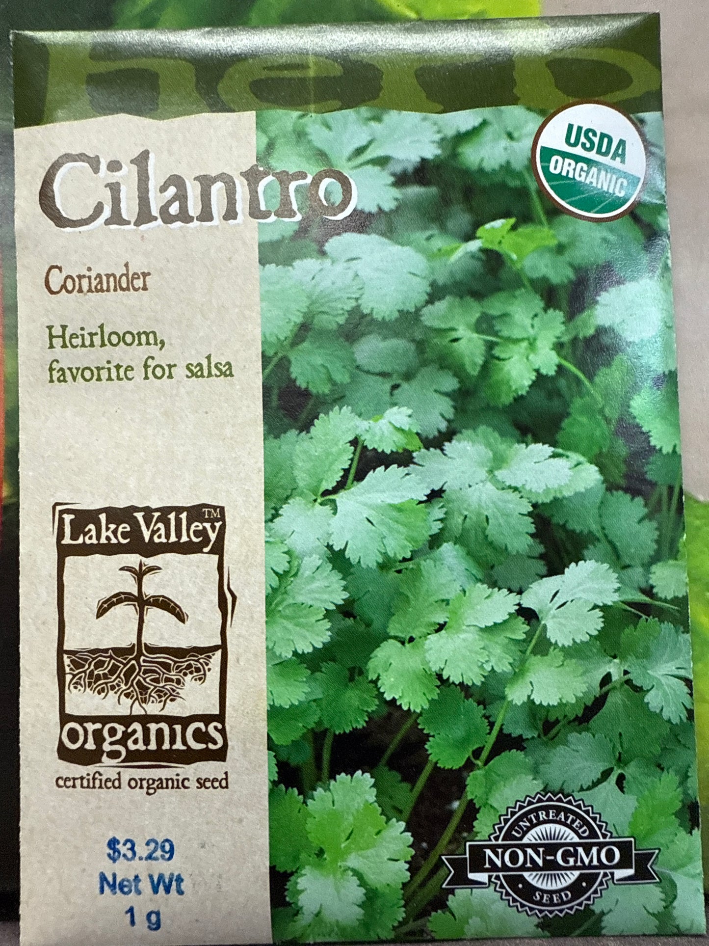 Cilantro - Coriander