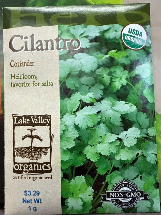 Cilantro - Coriander