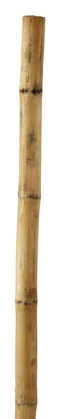 Natural Bamboo Stake 5'x3/8"