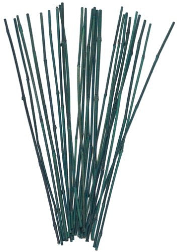Green Bamboo Stake