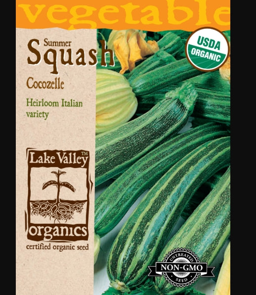 Organic Squash Summer Cocozelle Heirloom
