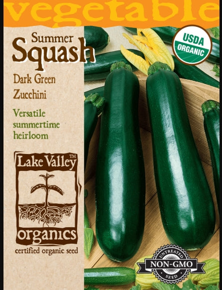 Organic Squash Summer Zucchini Dark Green Heirloom