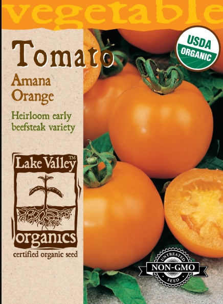 Organic Tomato Pole Amana Orange Heirloom