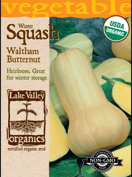 Organic Squash Winter Waltham Butternut Heirloom