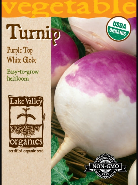 Organic Turnip Purple Top White Glove Heirloom