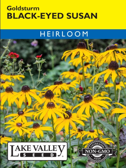 Black Eyed Susan Goldsturm Heirloom
