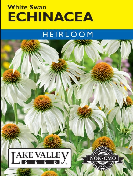 Echinacea White Swan Heirloom