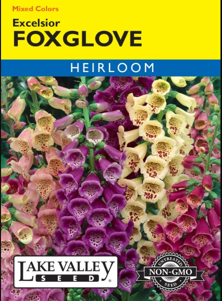 Foxglove Excelsior Mixed Colors Heirloom