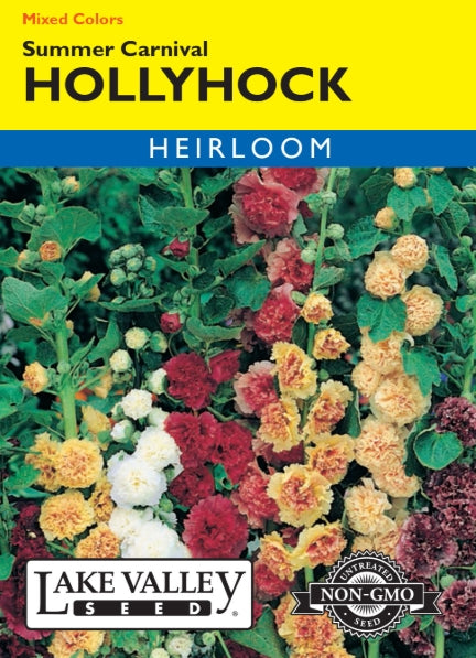 Hollyhock Summer Carnival Mixed Colors Heirloom