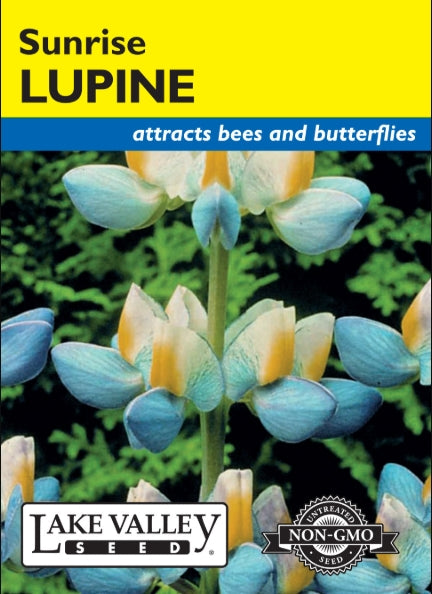 Lupine Sunrise