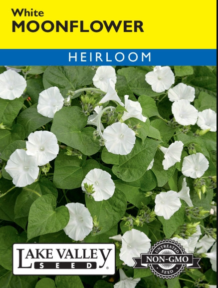 Moonflower White Heirloom