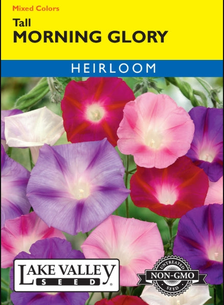 Morning Glory Tall Mixed Colors Heirloom