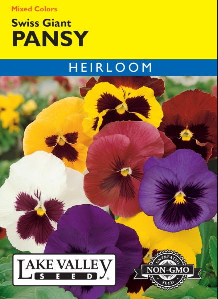 Pansy Swiss Giant Mixed Colors Heirloom