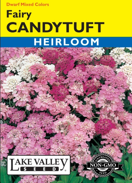 Candytuft Dwarf Fairy Mixed Colors Heirloom