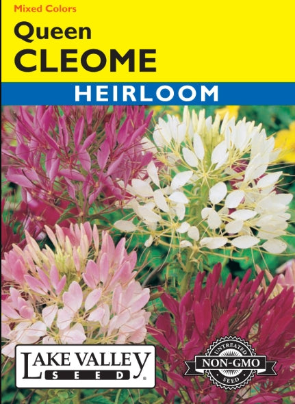 Cleome Queen Mix Heirloom