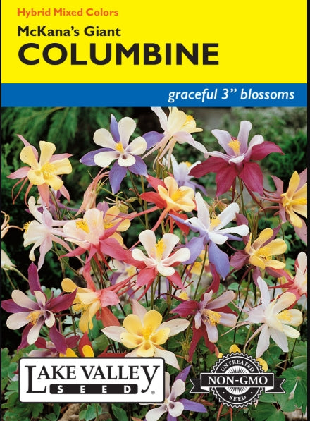 Columbine Mckana's Giant Mixed Colors Heirloom