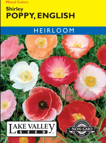 Poppy English Shirley Mixed Colors Heirloom