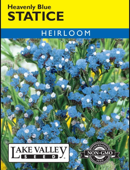 Statice Heavenly Blue Heirloom