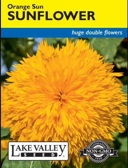 Sunflower Orange Sun Double