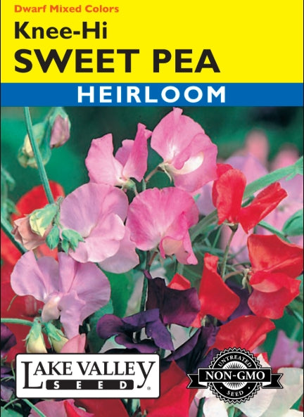Sweet Pea Knee-hi Dwarf Mixed Colors Heirloom