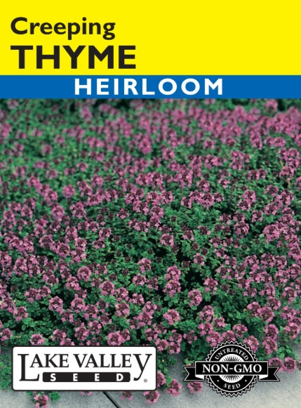 Thyme Creeping Heirloom
