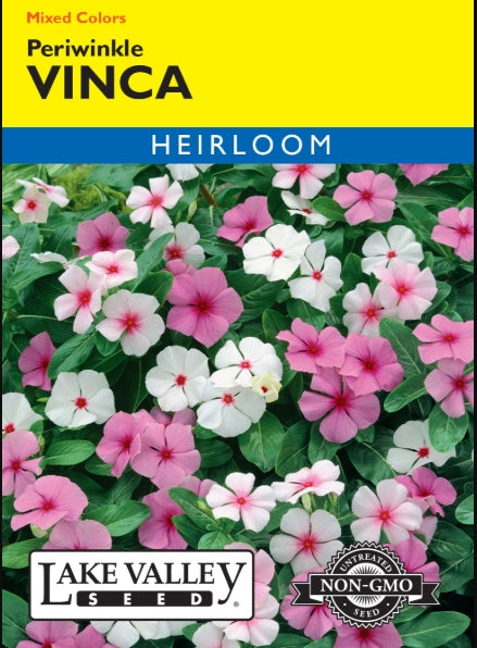 Vinca Rosea Tall Mixed Colors (periwinkle) Heirloom
