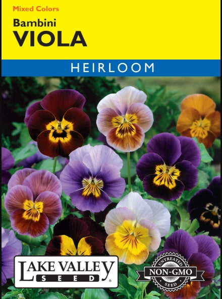 Viola Bambini Mixed Colors Heirloom