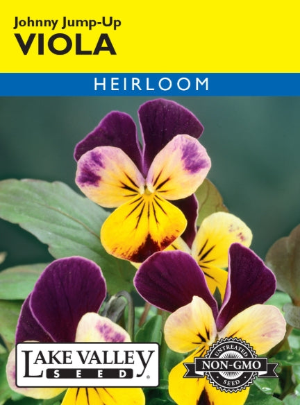 Viola Johnny Jump-up Heirloom