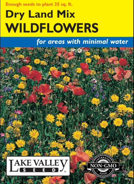 Wildflowers Dry Land Mixture