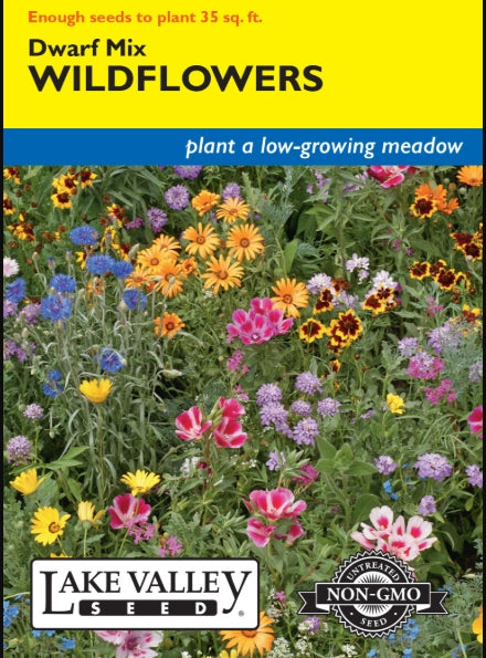 Wildflowers Dwarf Mixture