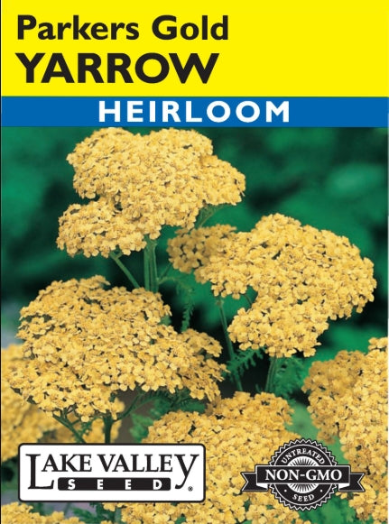 Yarrow Parkers Gold Heirloom