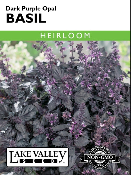 Basil Dark Purple Opal Heirloom
