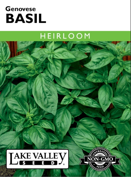 Basil Genovese Heirloom