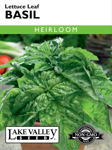 Basil Lettuce Leaf Heirloom