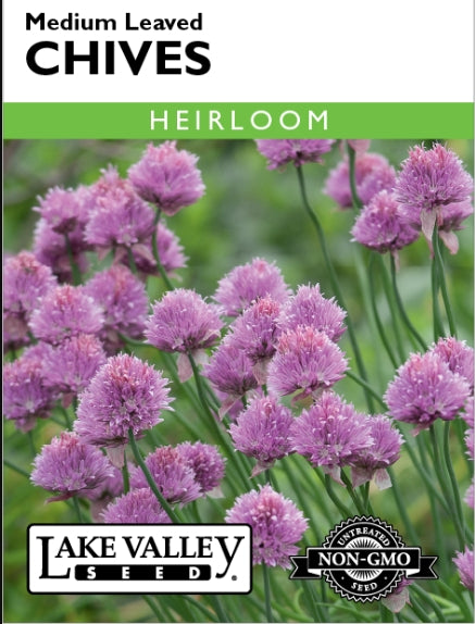 Chives Medium Leaved Heirloom