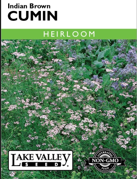 Cumin Indian Brown Heirloom