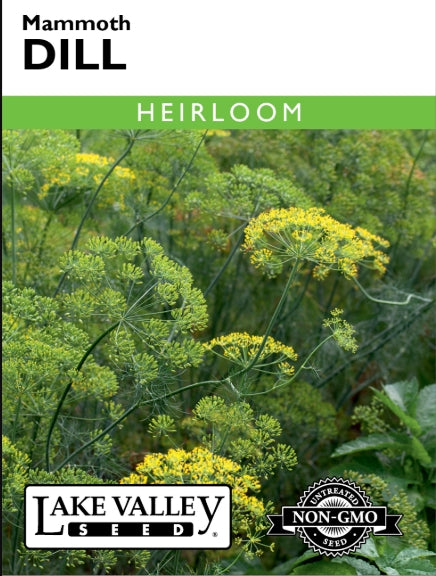 Dill Mammoth Heirloom
